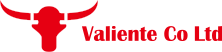 Valiente Co., Ltd. 